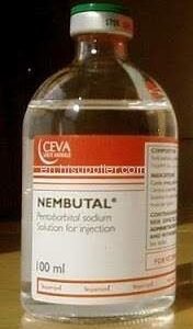 NEMBUTAL